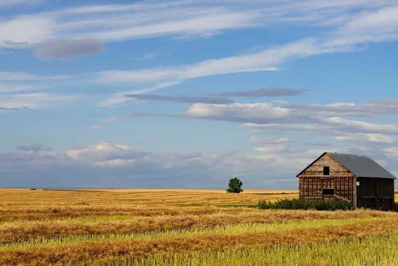 Saskatchewan-vựa lúa mì lớn nhất Canada