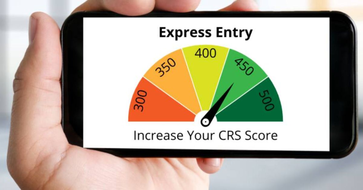 Có nên tham gia nhóm Express Entry nếu CRS thấp
